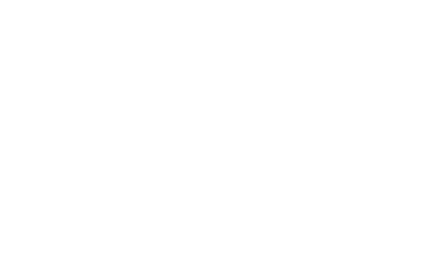VirtuLink Travel & Tours Services